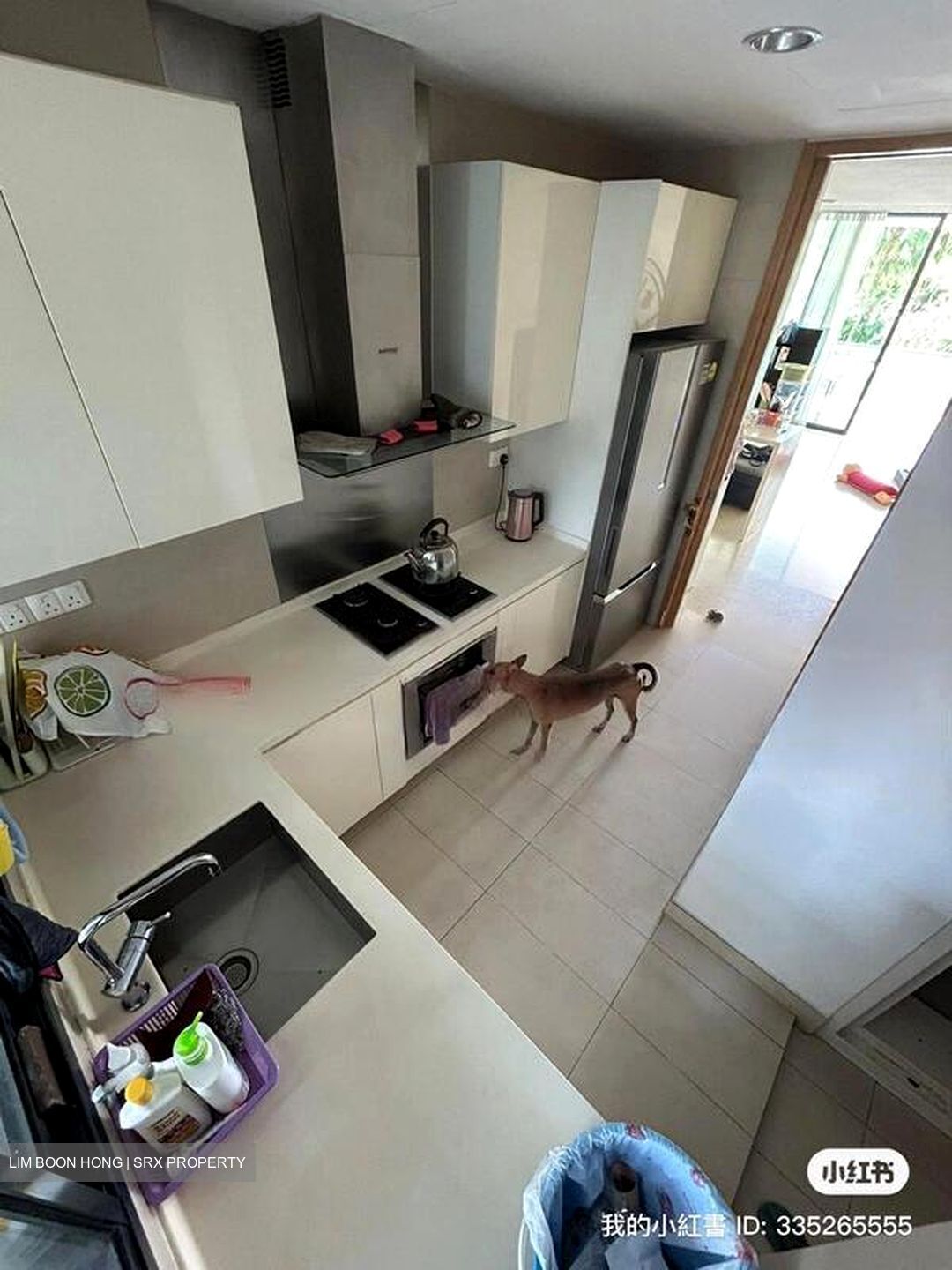 Parvis (D10), Condominium #467254711